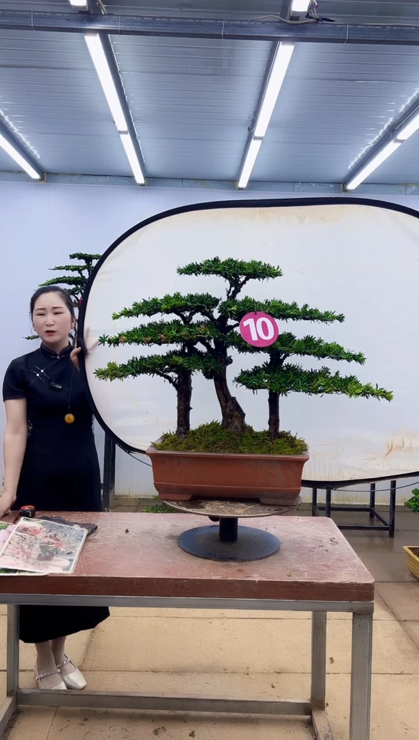 无花朵一物一拍，所见即所得