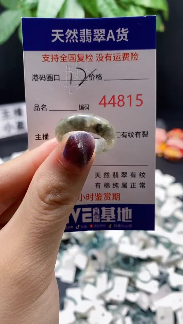翡翠戒指未镶嵌天然翡翠戒圈4815
