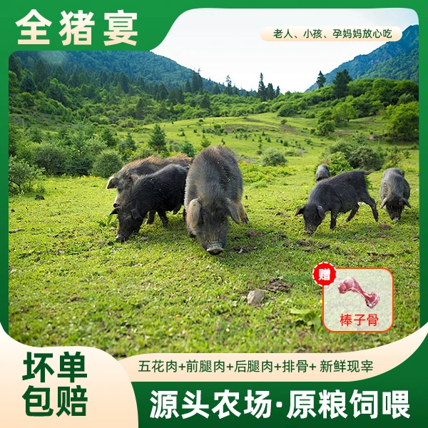 【黑猪肉组合全猪宴】散养400天黑毛土猪肉五花+前腿肉+排骨+后腿肉