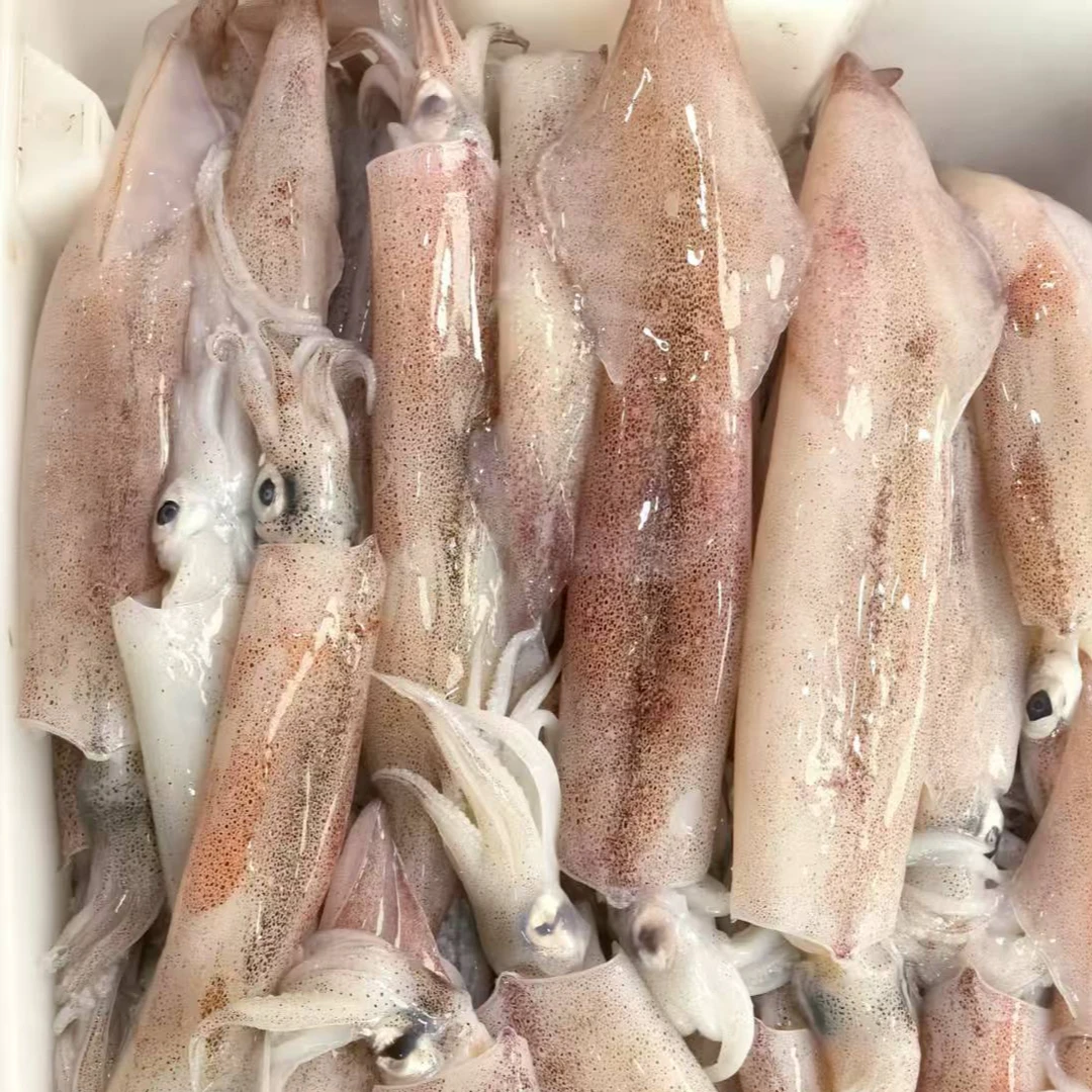 海捕辣椒管 火箭管 顺丰发货 次日达
