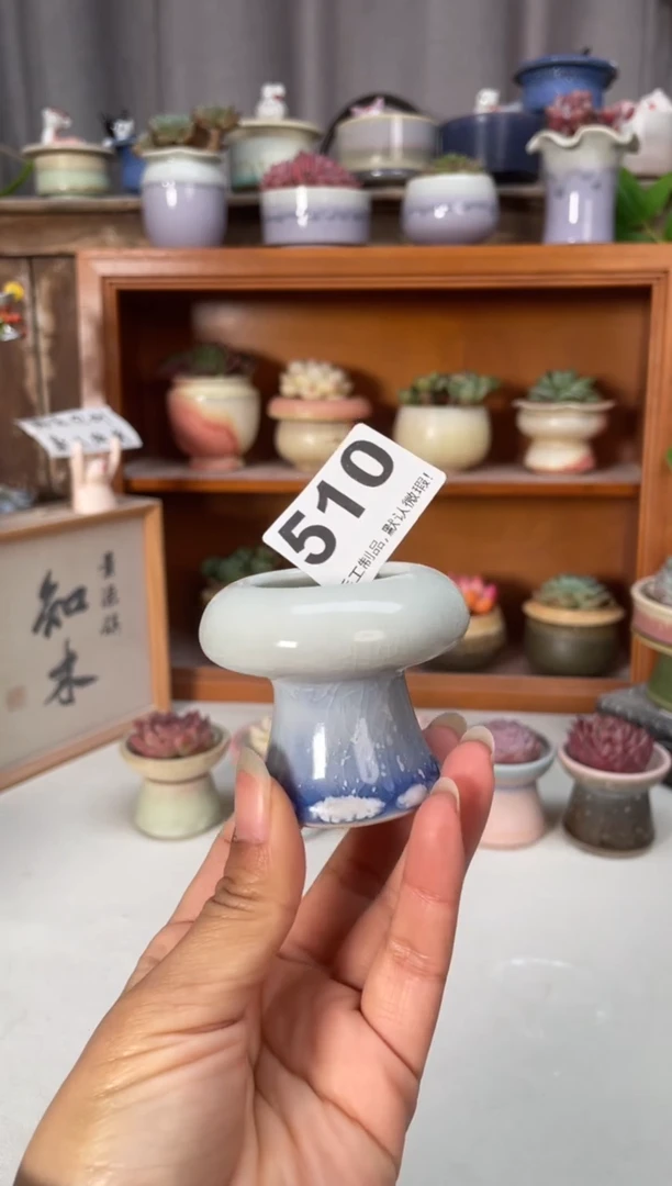 瓷片510小芳直播编号