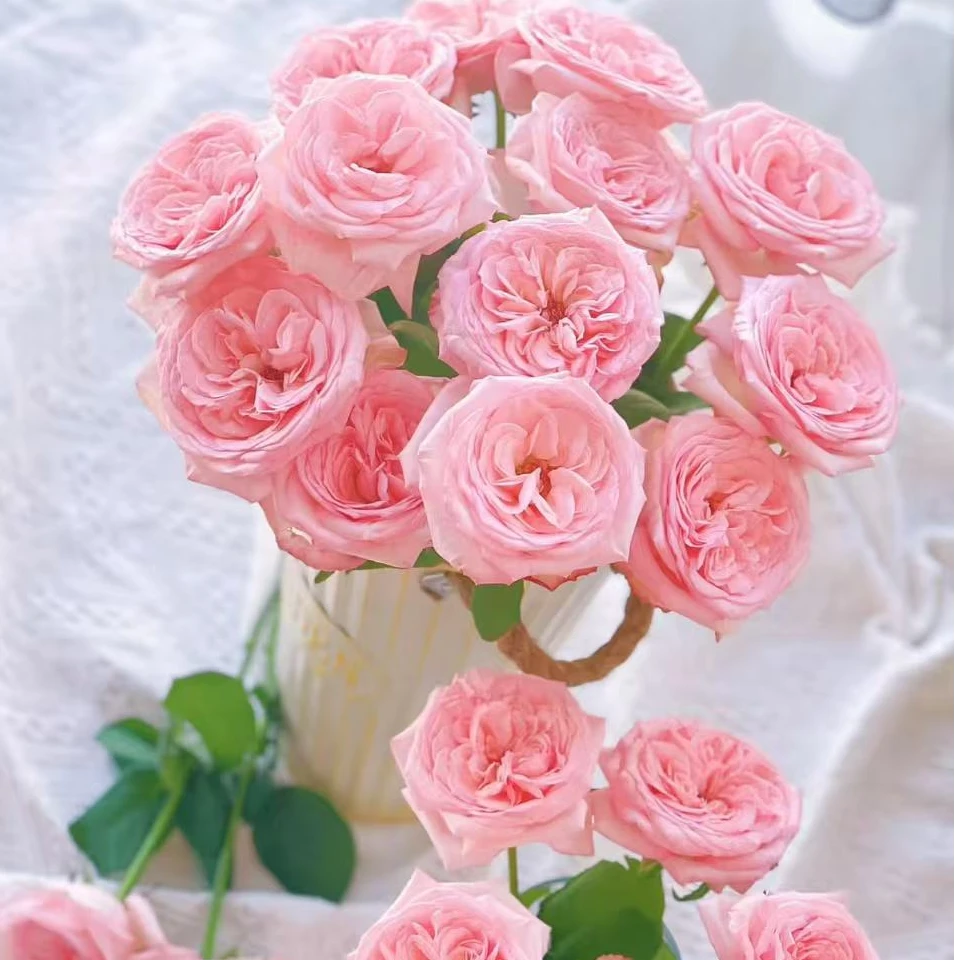 【粉荔枝单头玫瑰】任意两单及两单以上鲜花顺丰包邮发货