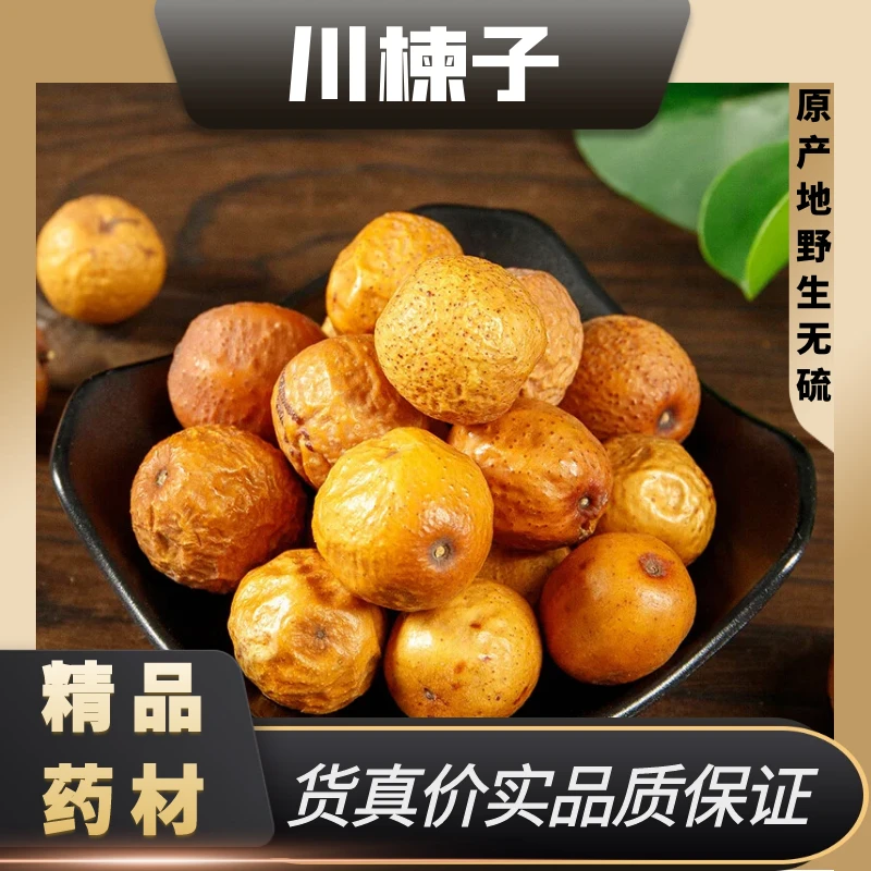 精选野生川楝子中药材四川苦楝子新货川栋子辣木籽金铃子川练子