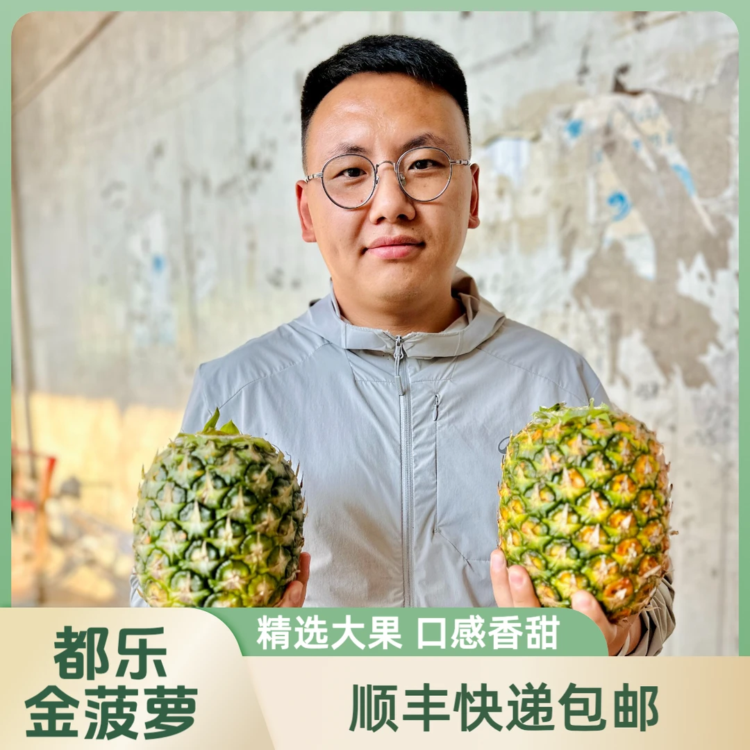 Dole/都乐菲律宾进口 无冠金菠萝 凤梨  大果
