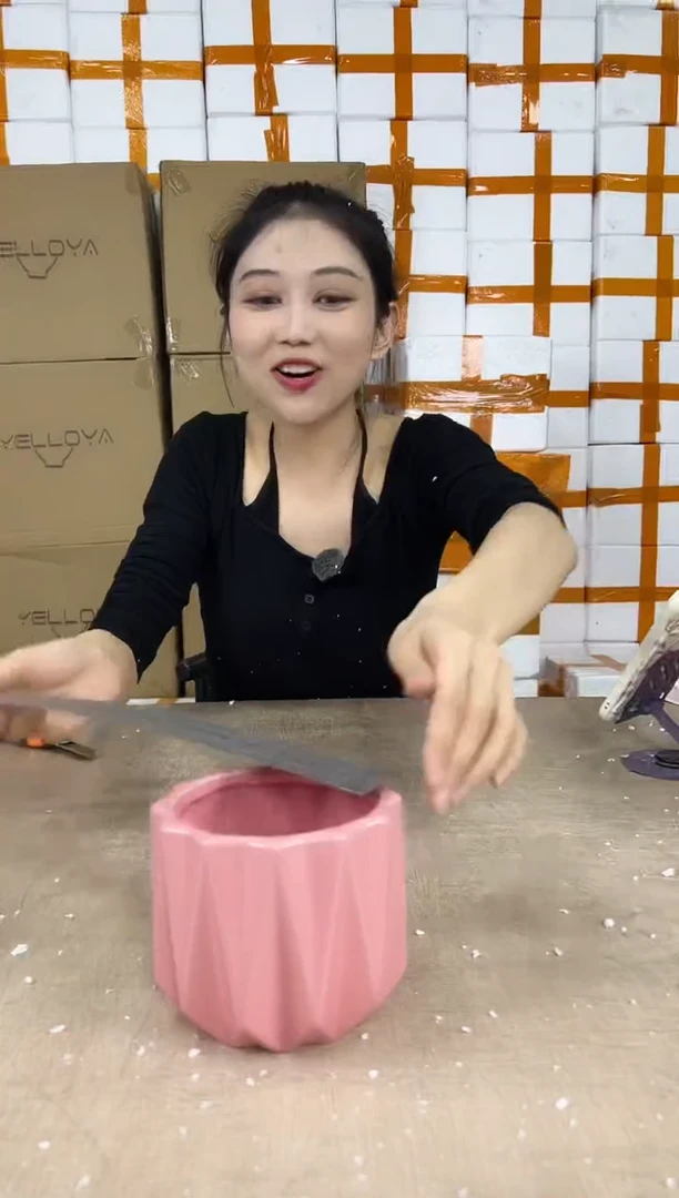 花盆花盆小号12.22--4