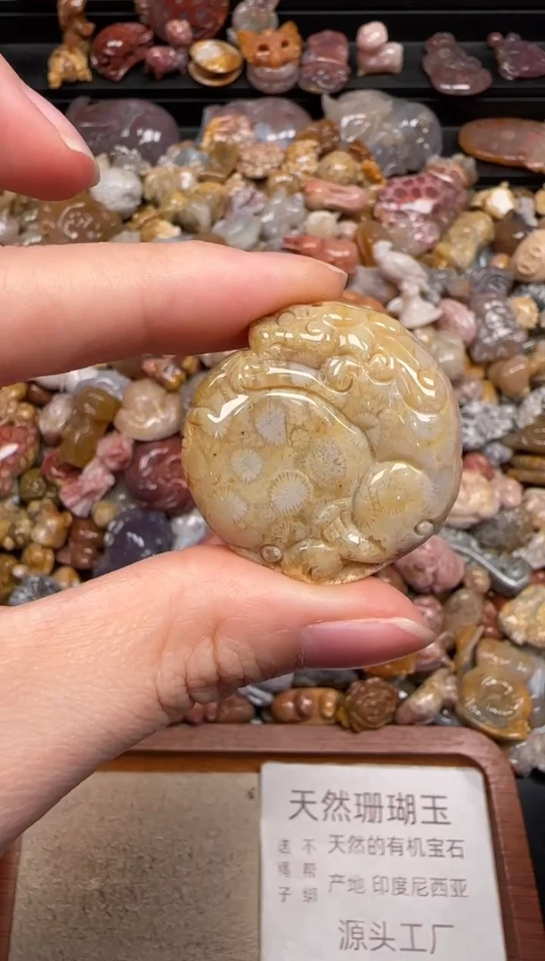 硅化珊瑚（珊瑚玉）未镶嵌颈饰624