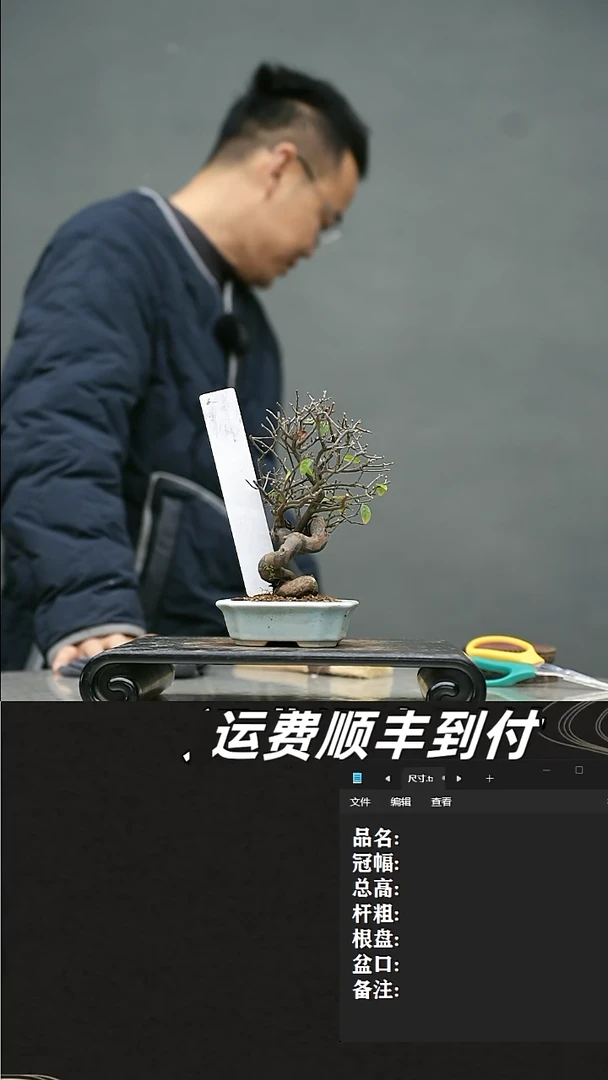 【闪购商品】104