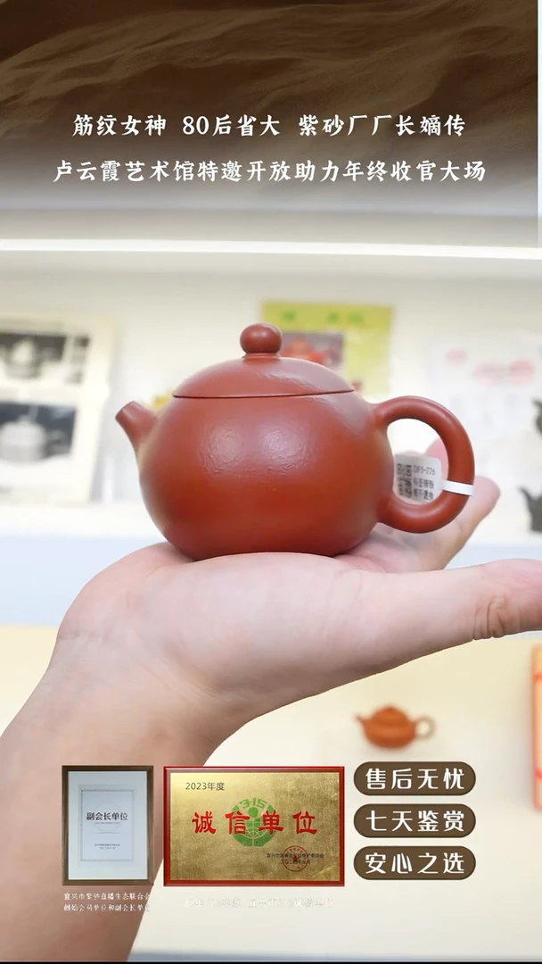 卢云霞55大红泥西施150cc