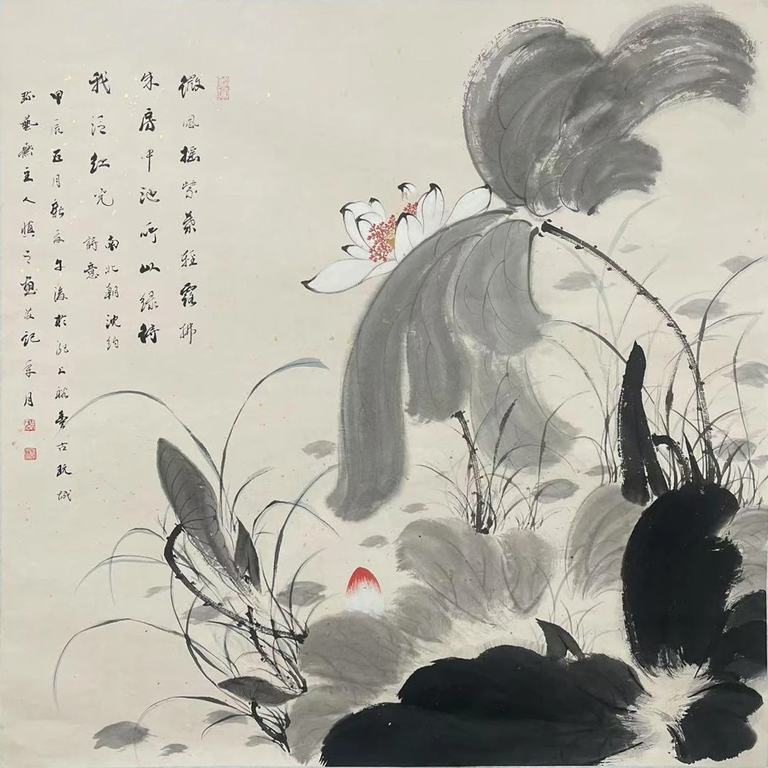 YSL-2-657 荷花 尺寸66*66c m 纸本托底