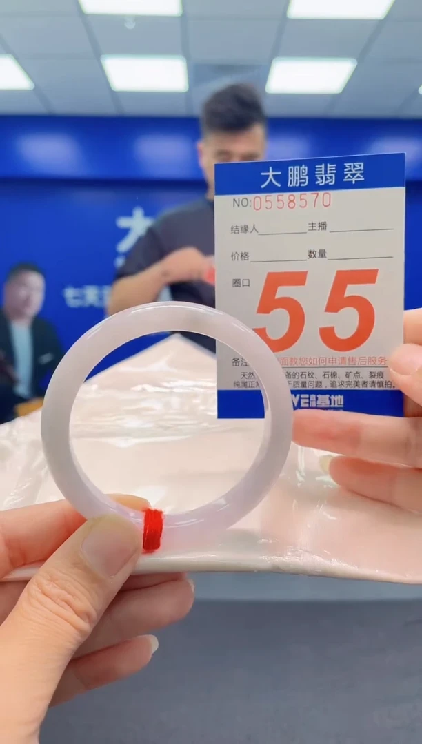 未镶嵌手镯翡翠AAAAAAAAA
