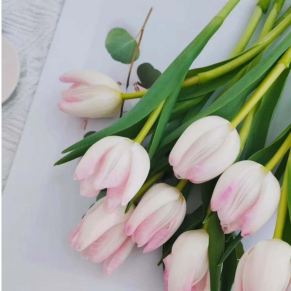 萌动（粉色郁金香）鲜切花水养室内装饰桌面插花辽宁凌源产地直发