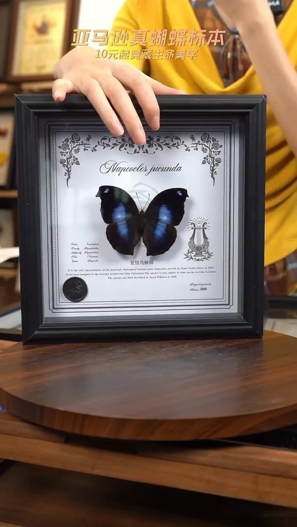 爱情鸟蛱蝶虫逢艺术款8寸曲边方框