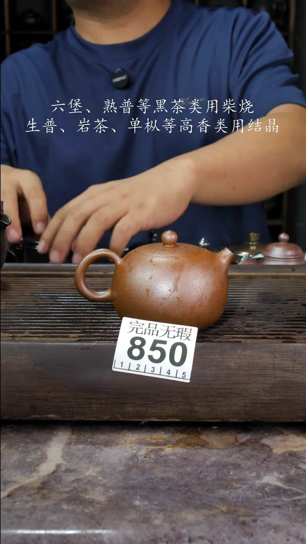 壶四大名陶钦州坭兴陶850