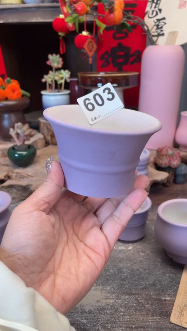 【闪购商品】摆件603知木小芳花盆