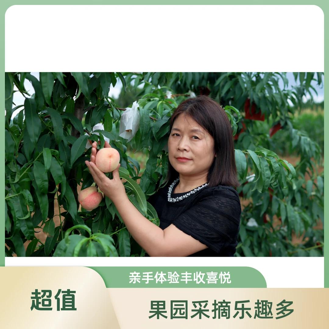 【高产村】夏香姬水蜜桃 当季新鲜水果脆甜爽口  单果150g-200g