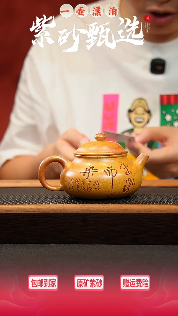 茶壶紫砂 一壶漂泊紫砂茶器5013