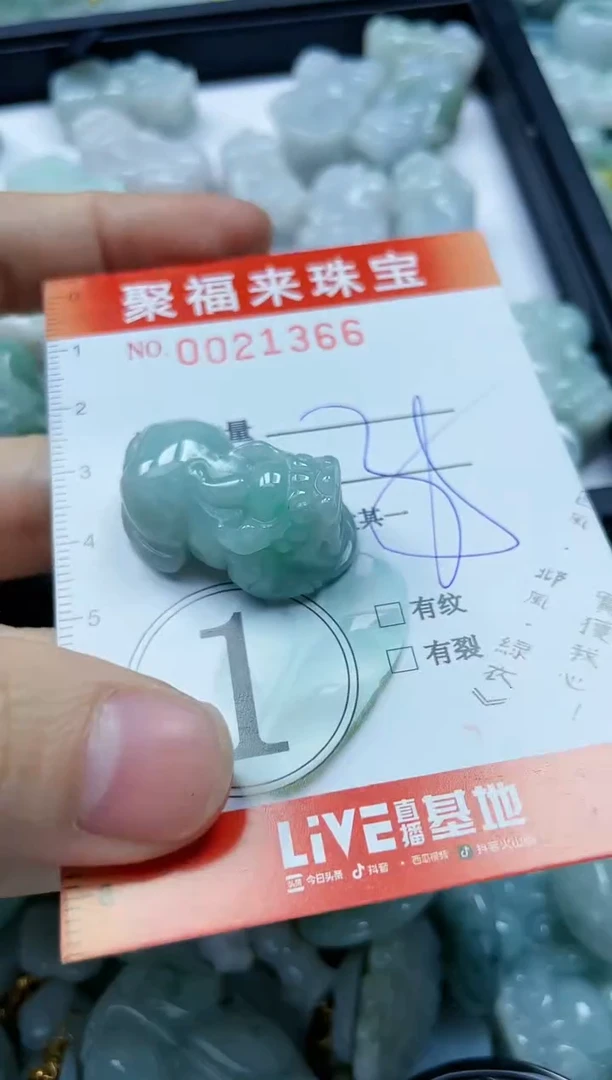 【闪购商品】翡翠颈饰未镶嵌闪购0021366