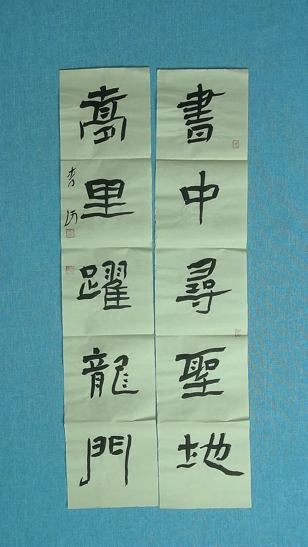 【闪购商品】书法223 湖北李河中书协76*16