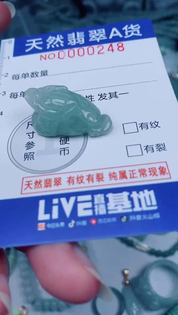 颈饰未镶嵌翡翠00000248