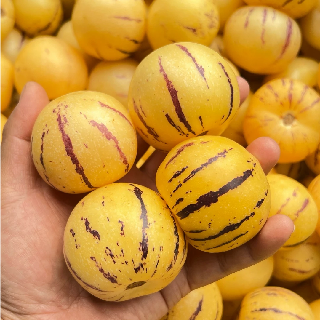 【人参果】云南石林人参果当季水果软糯香甜多汁水4.5斤装小果 S