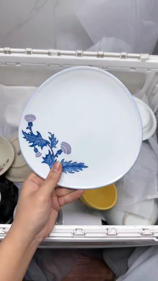 【闪购商品】457回流瓷器默认微瑕，18.8包邮