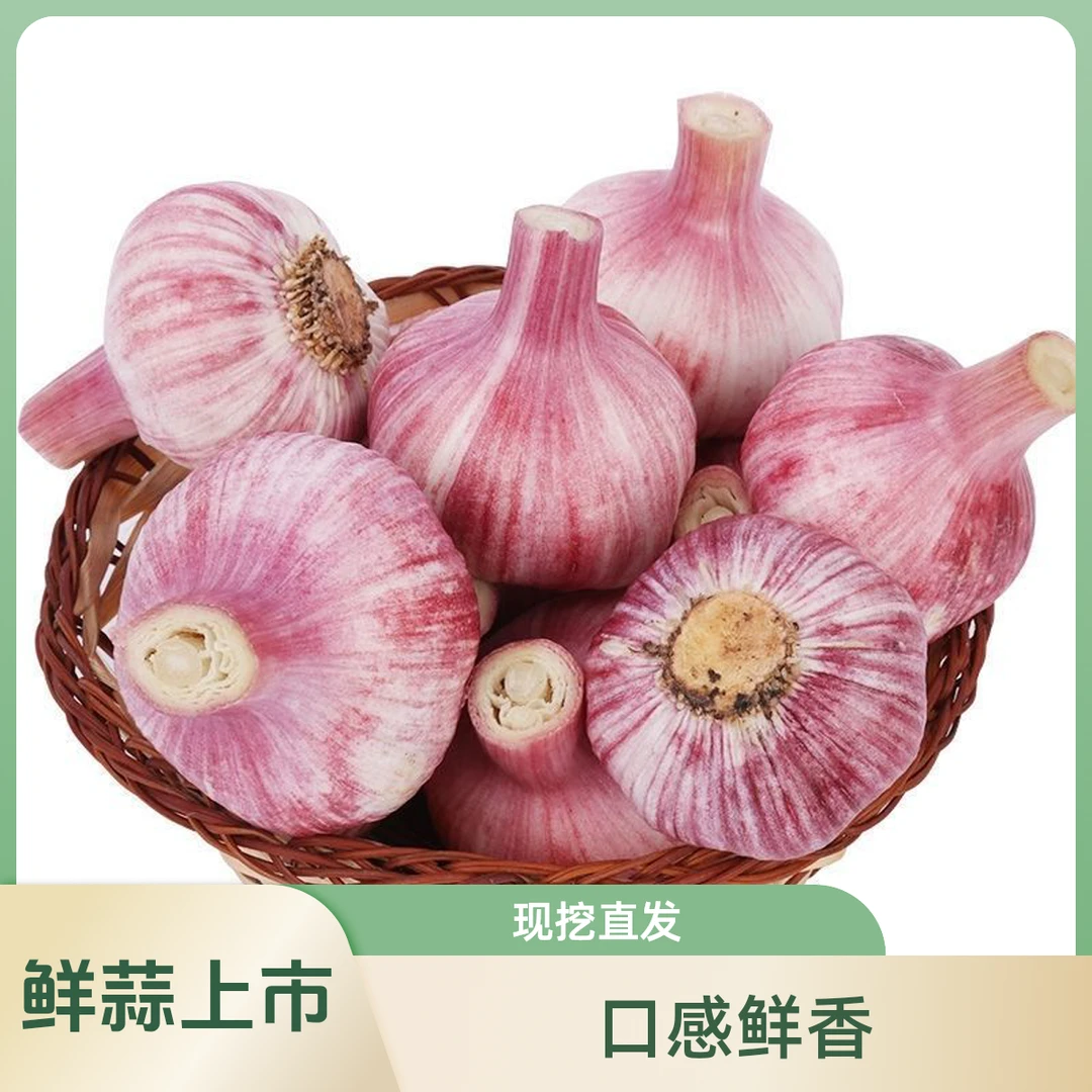 【现挖湿蒜】2025年新鲜红皮鲜蒜紫皮大蒜蒜种糖蒜醋蒜腊八蒜腌制