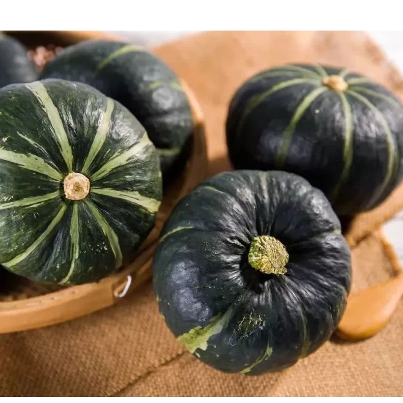 内蒙古沙地贝贝瓜现摘现发软糯香甜