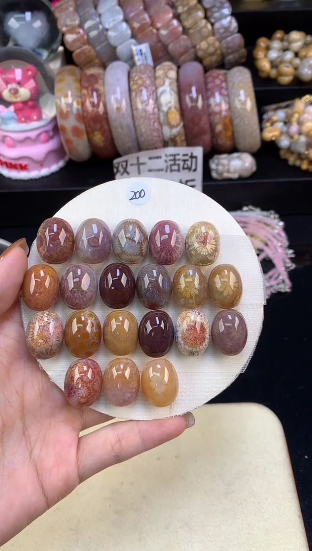 未镶嵌龟背硅化珊瑚（珊瑚玉）A01