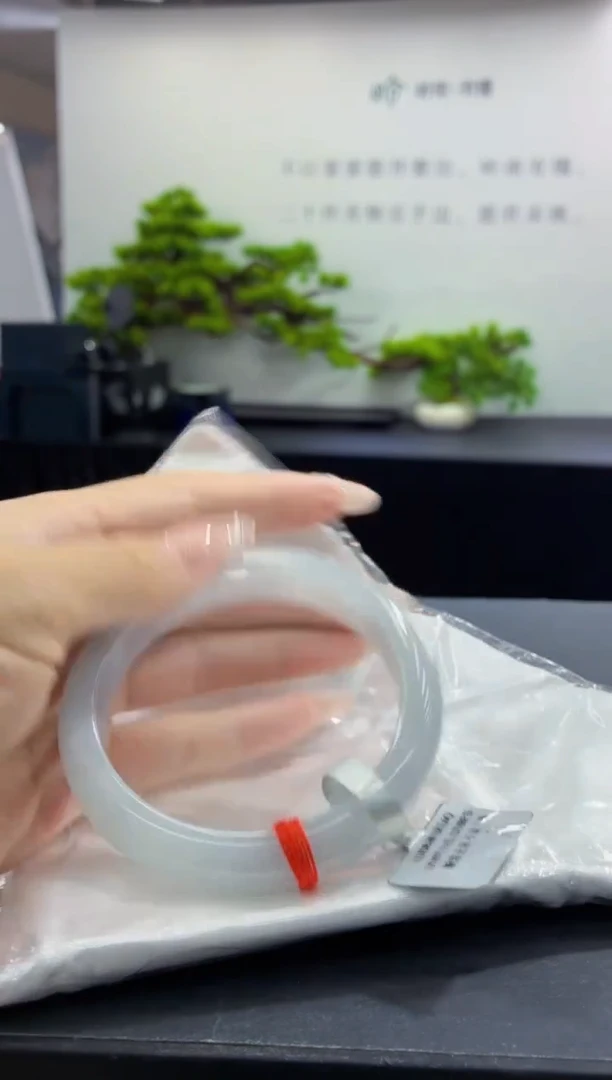 未镶嵌手镯翡翠5