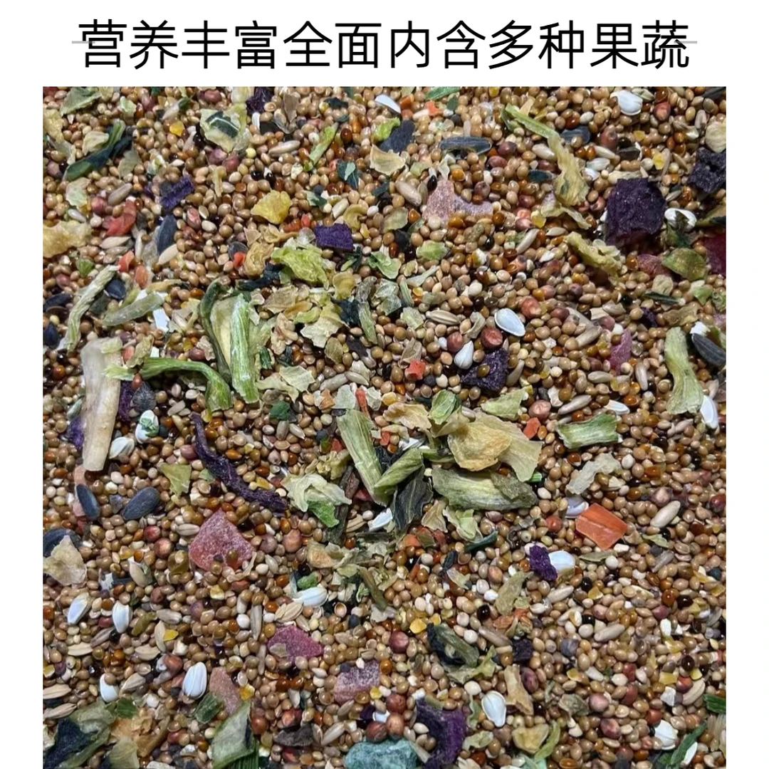 鹦鹉水果蔬菜混合粮食