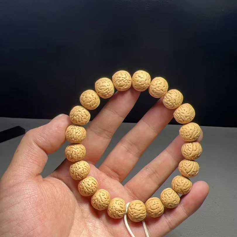 1.3（小宽脐）野生桃核