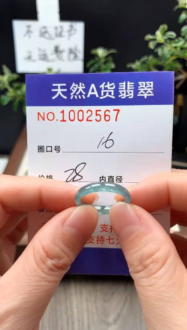 未镶嵌戒指翡翠16#