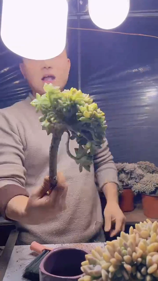 【闪购商品】缀化134