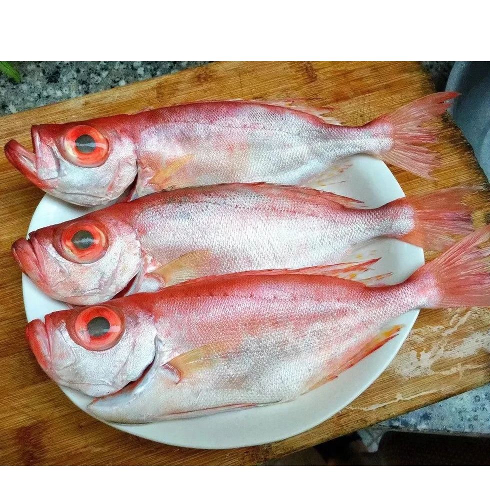 大眼鸡 野生海鱼新鲜红目鲢 海捕大目鱼