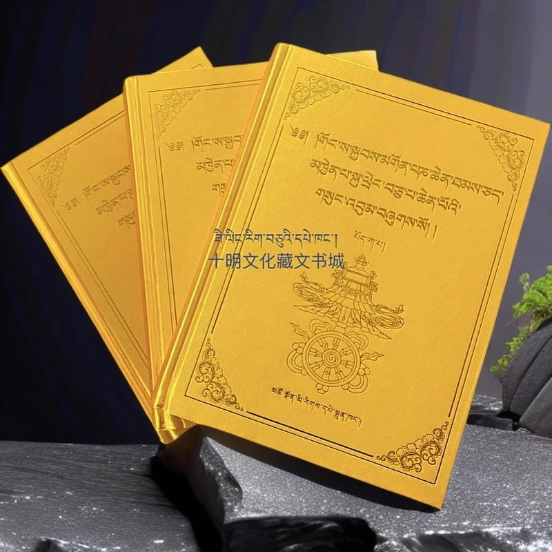十世班禅佛学文集（共三卷）青海民族出版社书籍藏文书籍藏族书