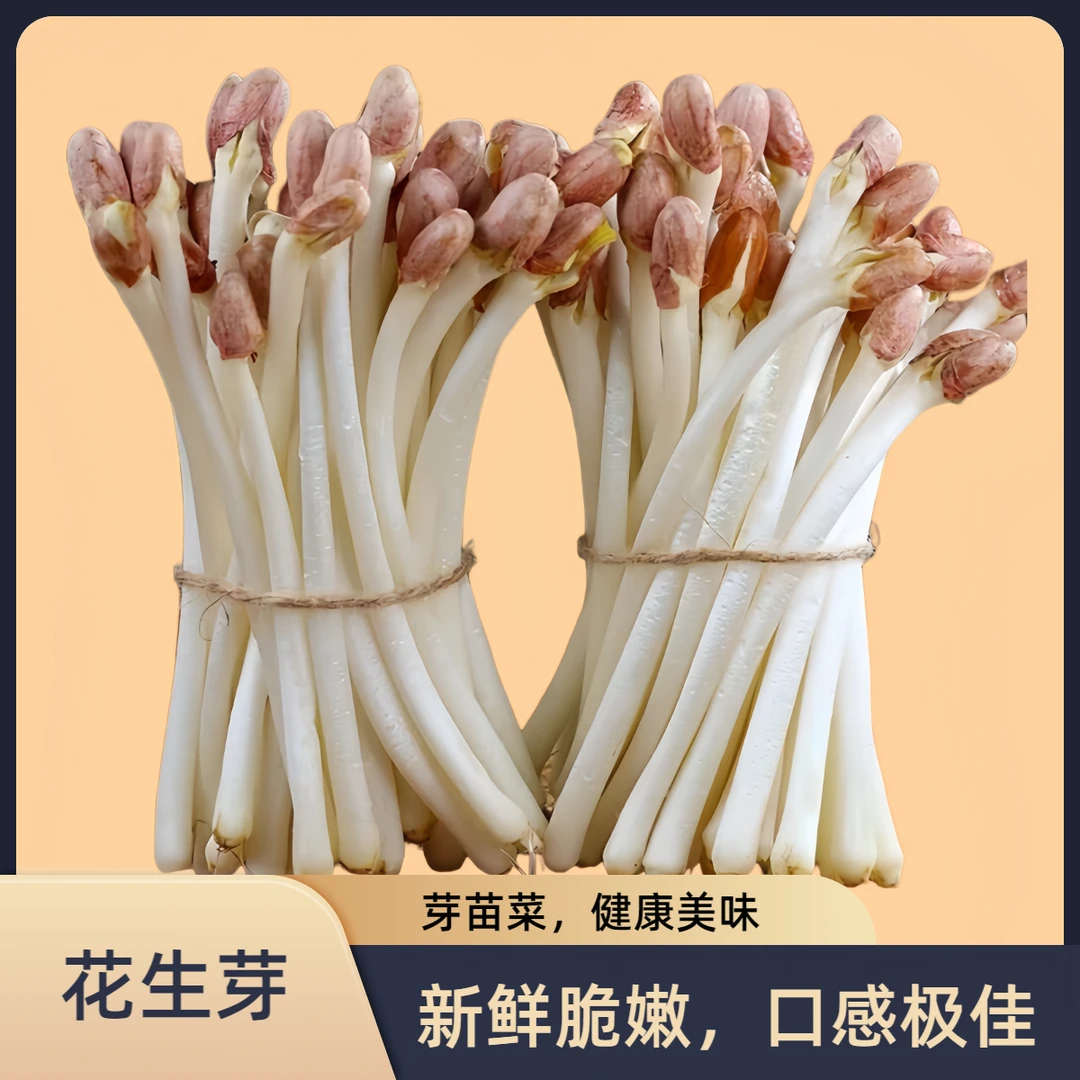 现摘现发新鲜花生芽的优质水培芽苗菜【京东快递包邮】