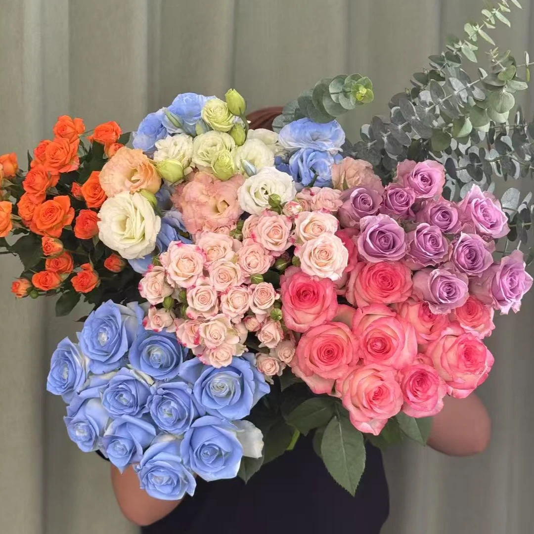 【碎冰蓝紫玫瑰艾莎折射组合】 纯玫瑰鲜花组合 云南基地直发鲜花