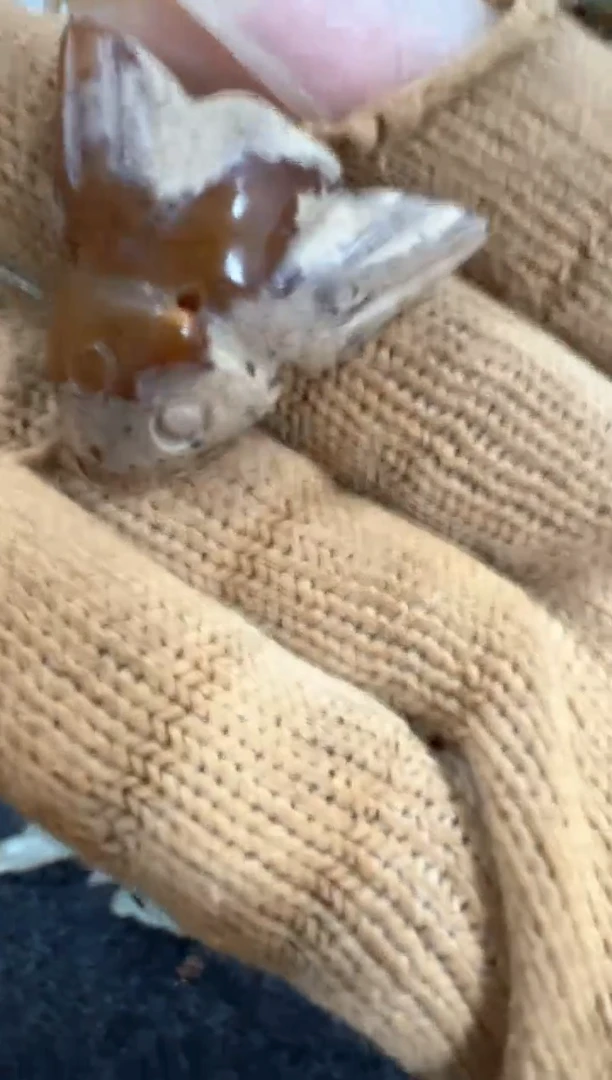 未镶嵌和田玉挂件配饰摆件8888888888