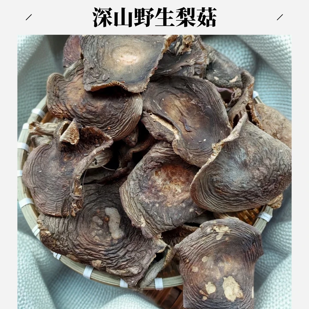 云南野山菌新鲜纯野生青梨菇干货农家自晒母猪青