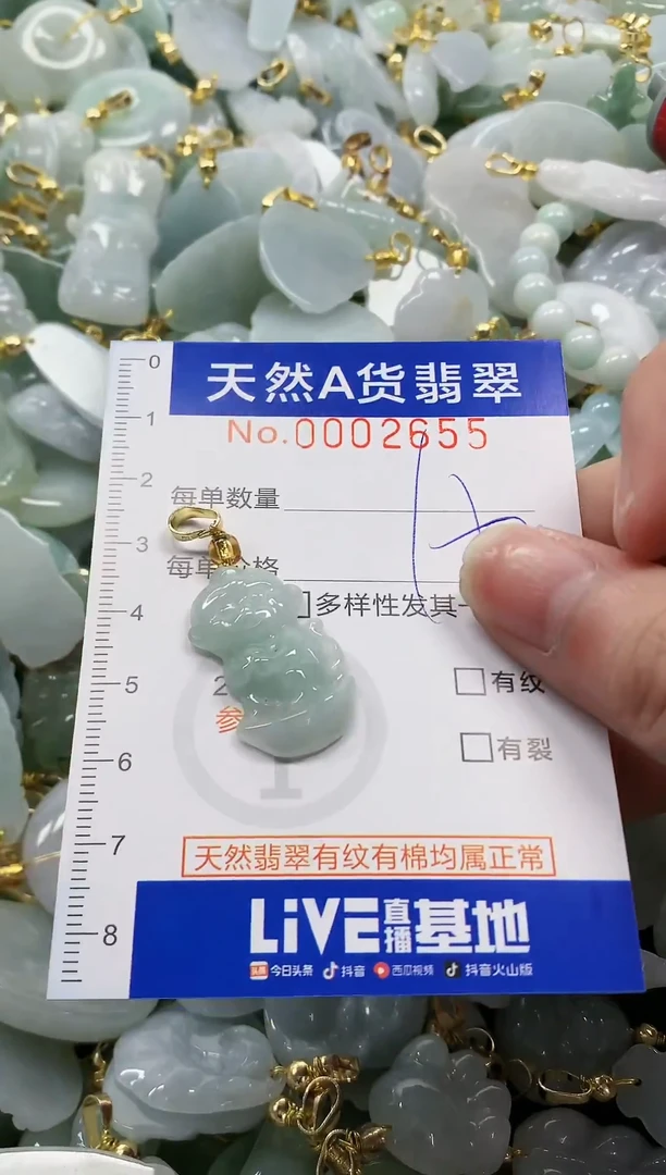 颈饰未镶嵌翡翠纯天然a货翡翠