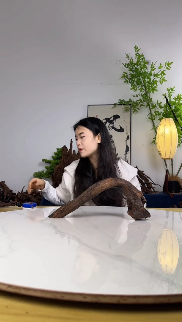 东*主拍沉木定向链接编号5