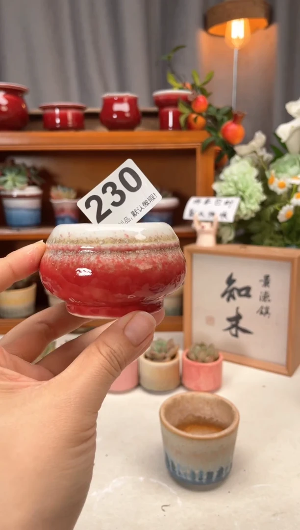 瓷片230知木小芳花盆直播编号