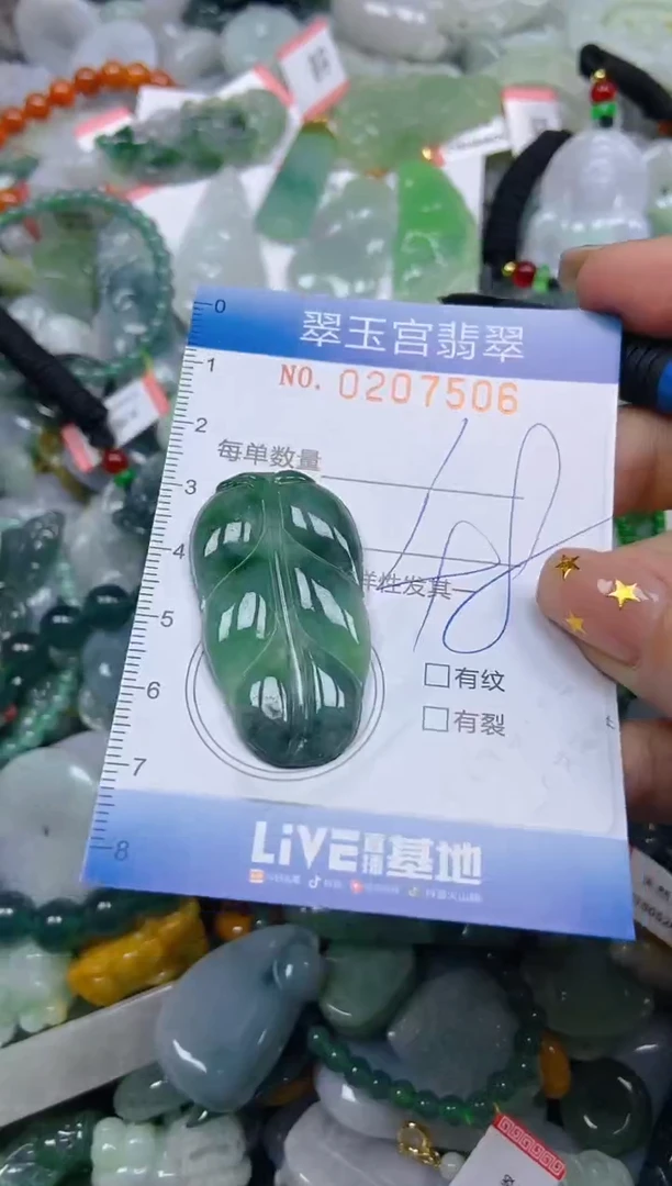 颈饰未镶嵌翡翠闪购C0207506