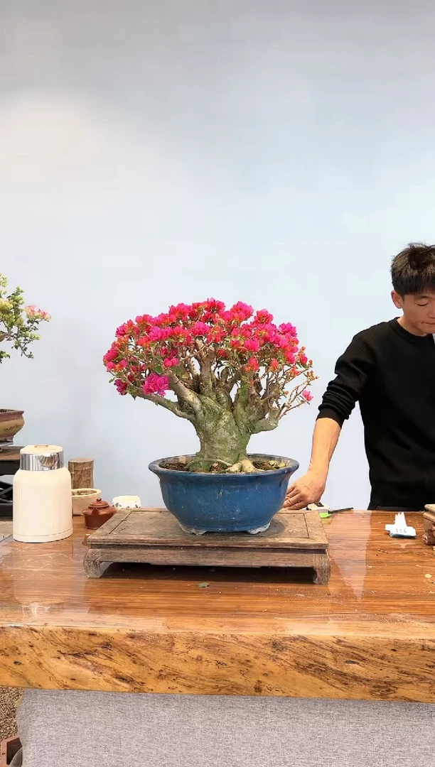 【闪购商品】aa929