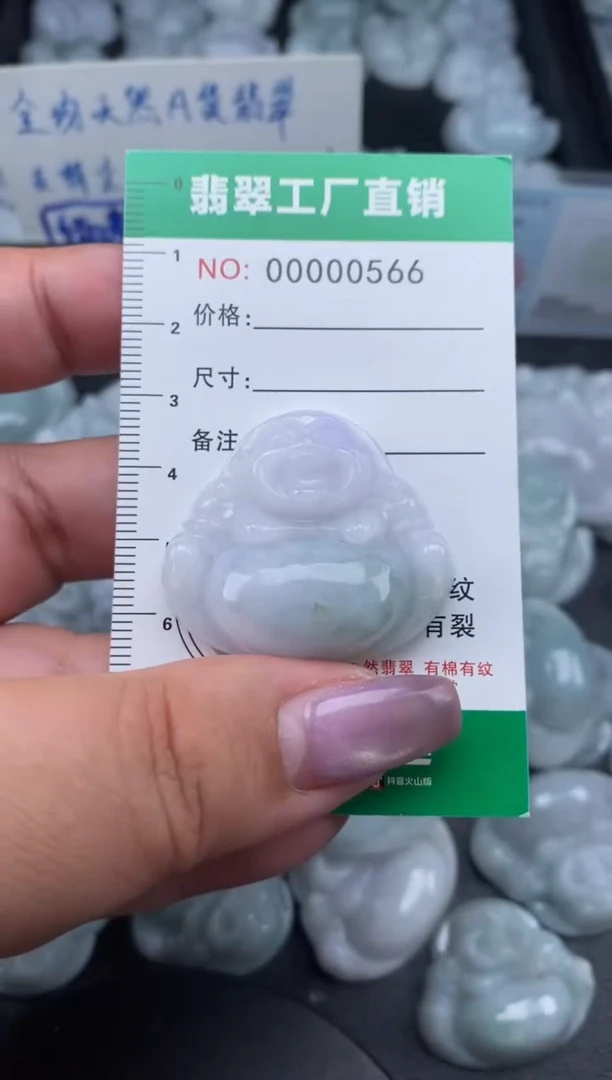 翡翠未镶嵌颈饰缅甸天然A货翡翠0566