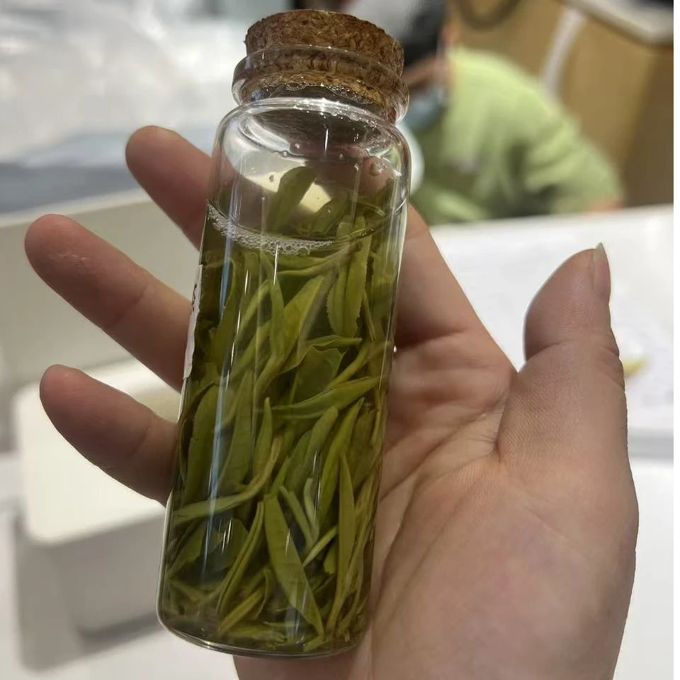 【2025湘西黄金芽】 绿茶湘西黄金芽  2025新茶  高级绿茶