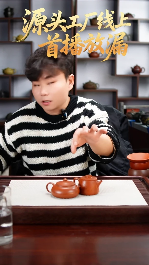 茶壶紫砂564564645
