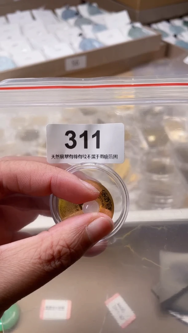 【闪购商品】翡翠颈饰未镶嵌天然缅甸A货翡翠311