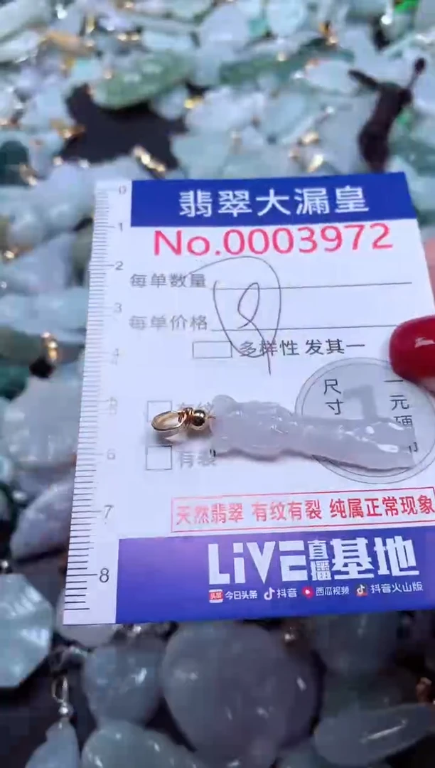 颈饰未镶嵌翡翠3972