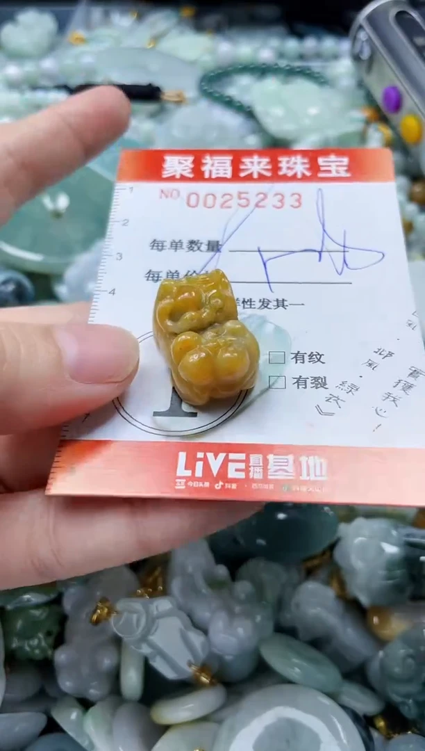 【闪购商品】翡翠颈饰未镶嵌闪购0025233多样性发其一